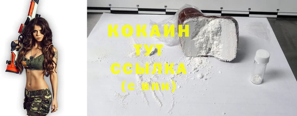 мдпв Новосибирск