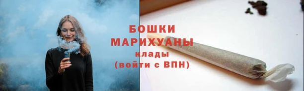 ешки Аркадак