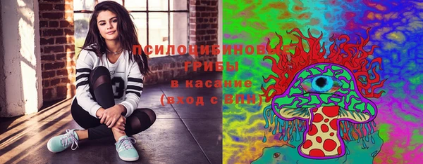 не бодяженный Арсеньев