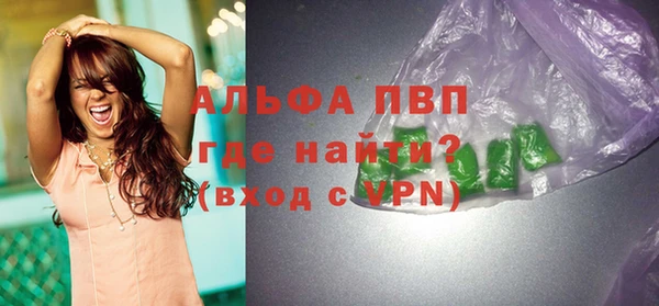 дмт Богданович