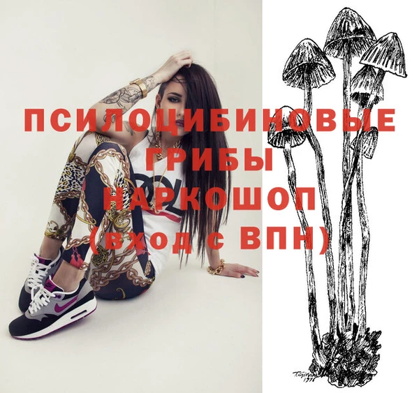 не бодяженный Арсеньев