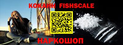 СК Новозыбков