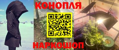 марихуана Новокубанск