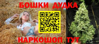 герыч Новодвинск